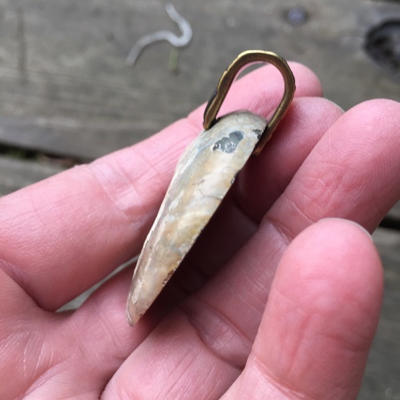 Ammonite Fossil Pendant with Brass Bail NWOT - Picture 5 of 14